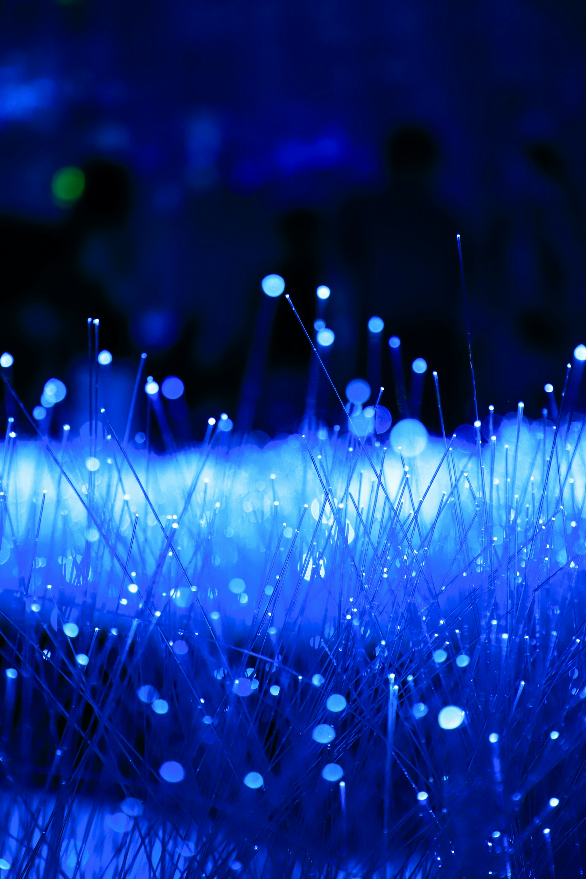 Real blue optical fibres and points of light, illustrating connected systems and information